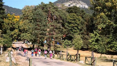 que hacer en cercedilla gratis|10 actividades gratuitas para disfrutar en Cercedilla